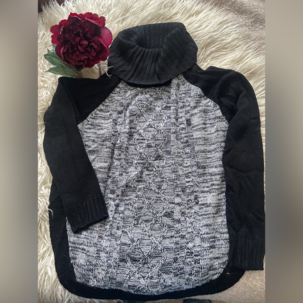 Jason Maxwell Turtleneck Sweater